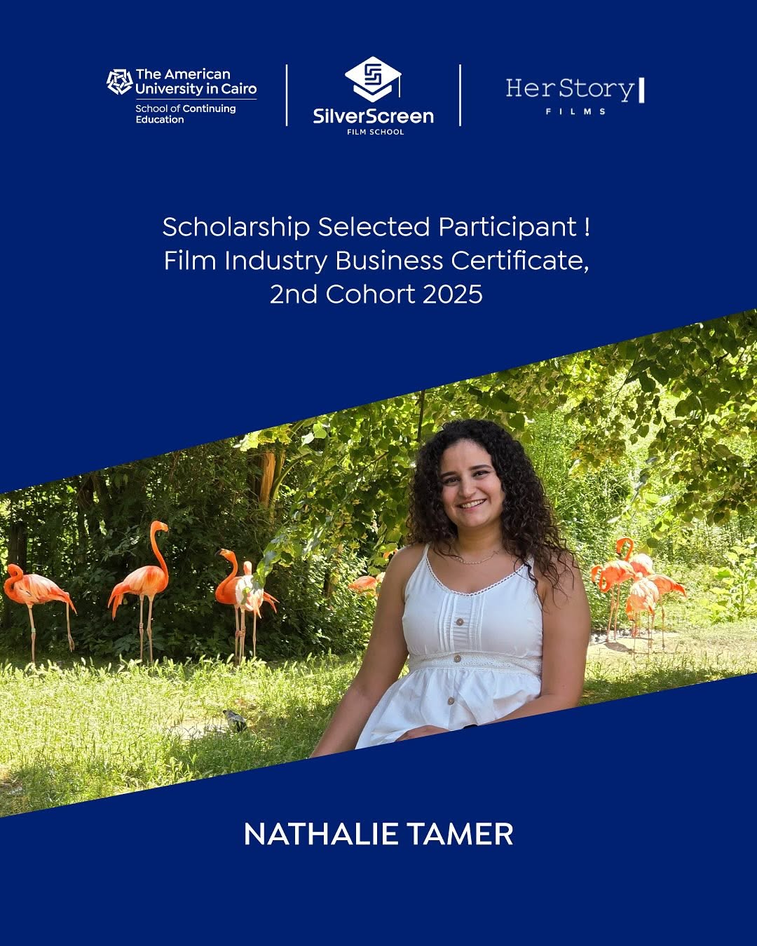 AUC Silver Screen Scholarship Certificate